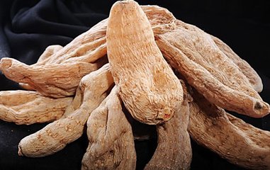 中國天麻