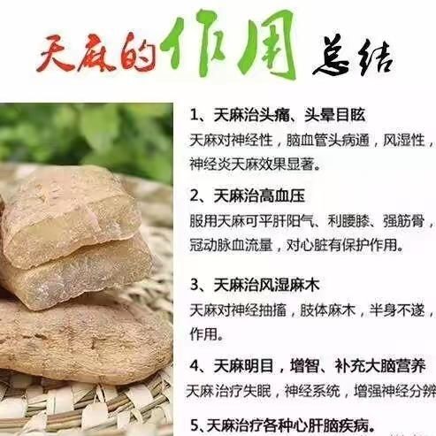 特產新貨云南昭通天麻紅天麻產地直銷批發價包郵促銷