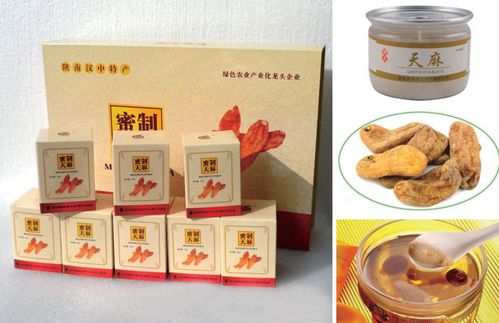 項目內容 燕...寧強縣天麻食藥產品開發項目 寧強縣人民政府