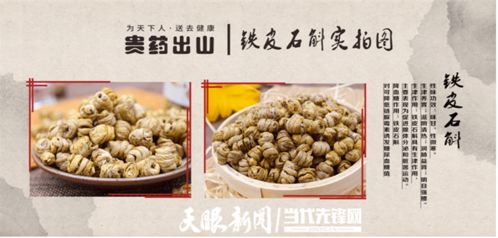 讓 貴山珍草 成為鄉村振興的 助推器